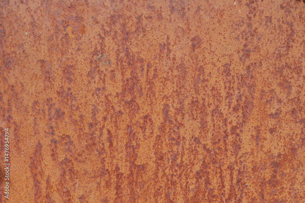Fototapeta premium Rusty texture in a garden
