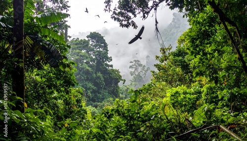 Dense Green Forest