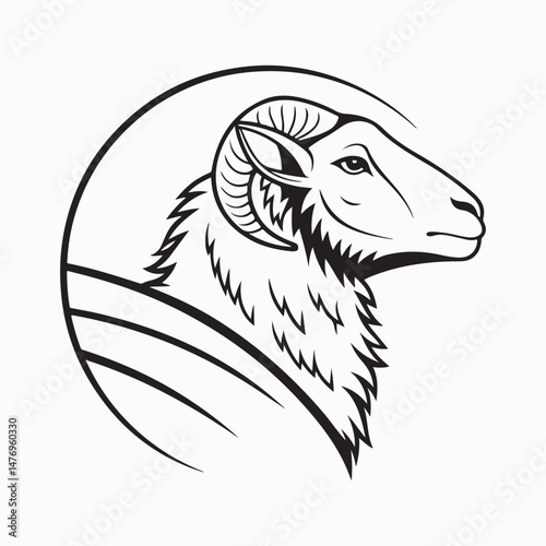merino sheep vector art illustration