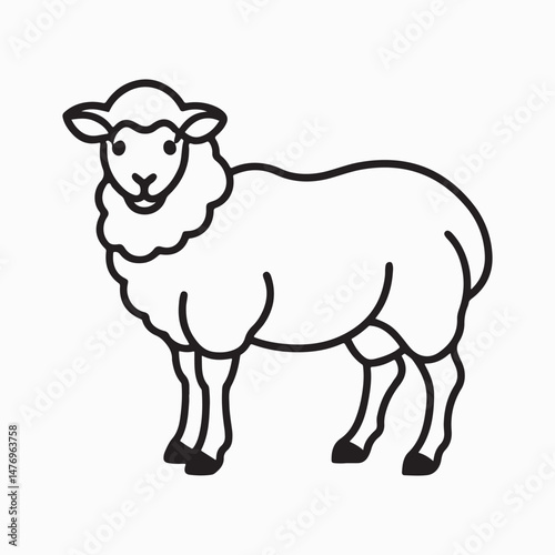 merino sheep vector art illustration