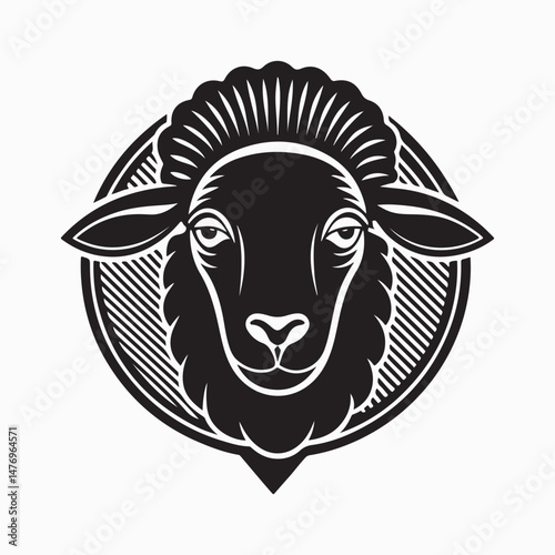 merino sheep vector art illustration