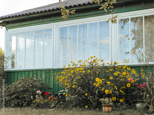 Fototapeta Naklejka Na Ścianę i Meble -  flowers in a greenhouse