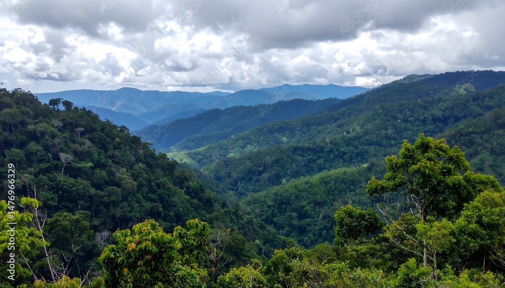 Fototapeta premium Mountain Valley Landscape