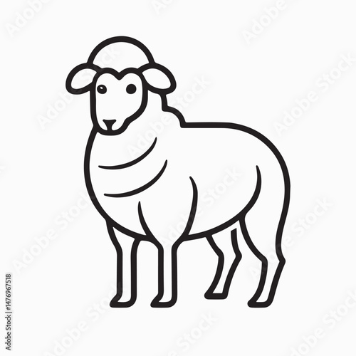 merino sheep vector art illustration