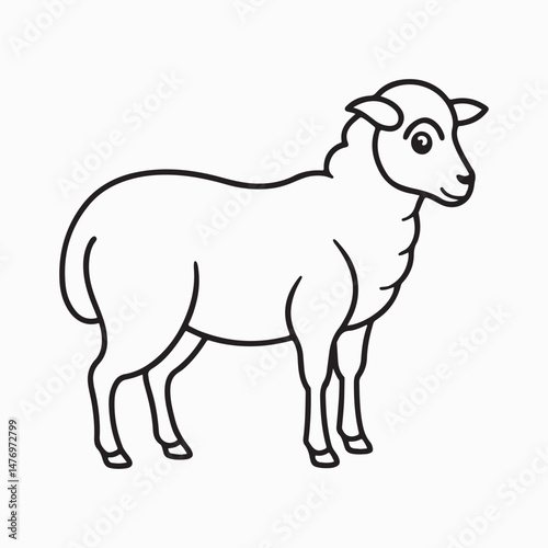 merino sheep vector art illustration