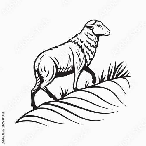 merino sheep vector art illustration