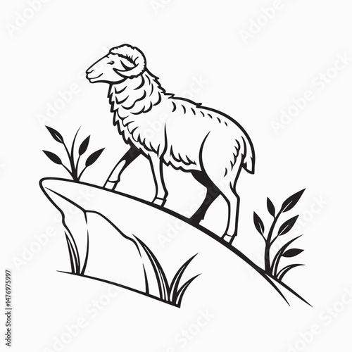 merino sheep vector art illustration