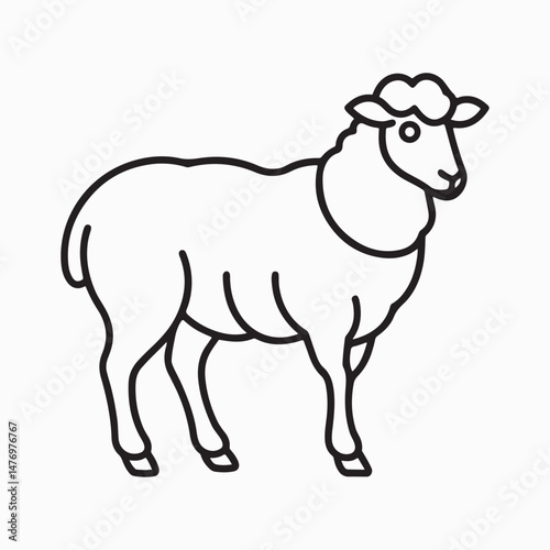 merino sheep vector art illustration