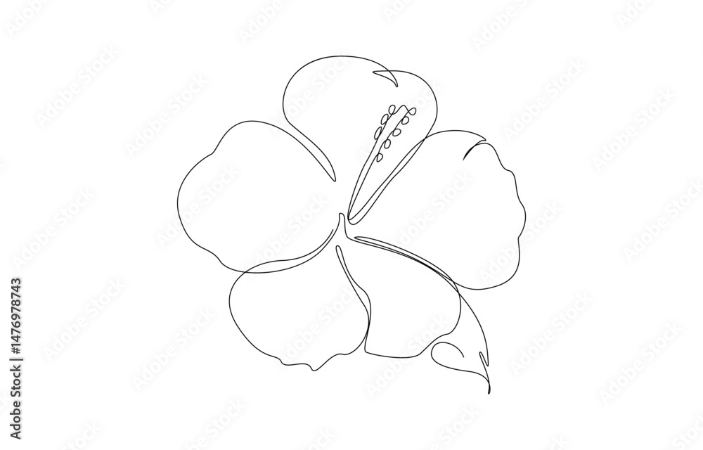 Hibiscus Flower Continuous one Line Drawing Hibiscus Flower Continuous one Line Drawing