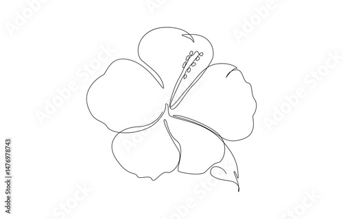 Hibiscus Flower Continuous one Line Drawing