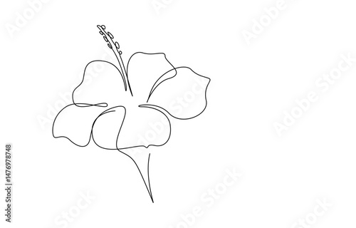 Hibiscus Flower Continuous one Line Drawing