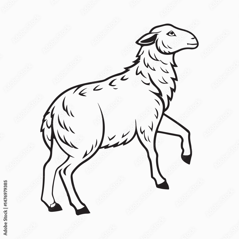 Obraz premium merino sheep vector art illustration