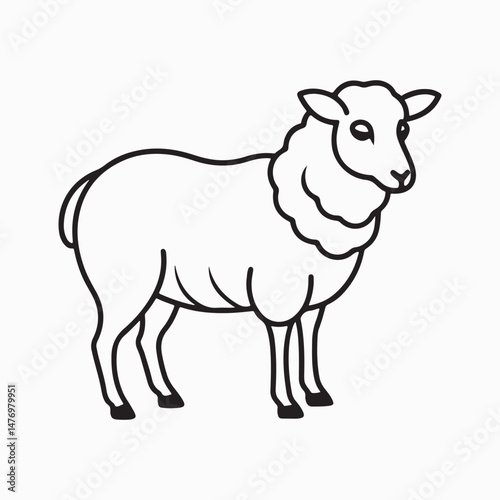 merino sheep vector art illustration