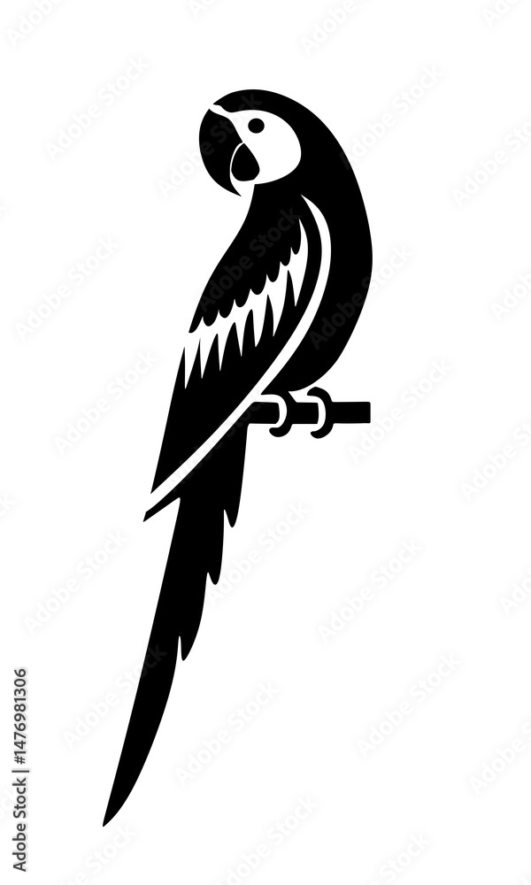 Fototapeta premium parrot standing on a tree branch