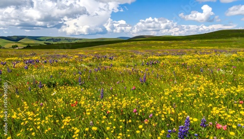 Green Field under Blue Sky