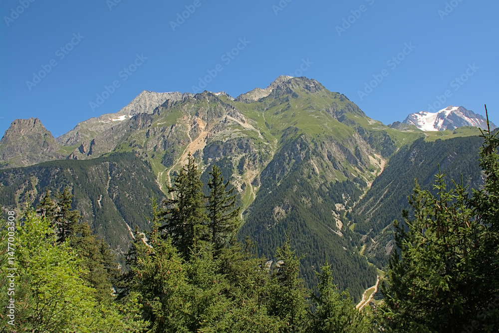 Fototapeta premium Alpine mountains with pine forest and granite tops in La Vanoise national park, France 