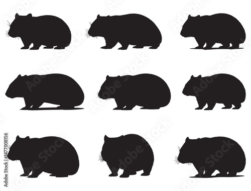 WOMBAT SILHOUETTE WHITE BACKGROUND