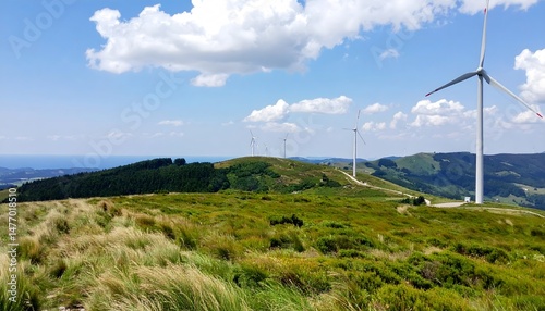 Green Field under Blue Sky