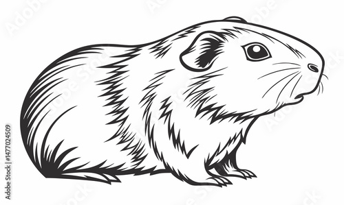 detailed illustration of guinea pig, showcasing its round body and expressive features, perfect for animal lovers