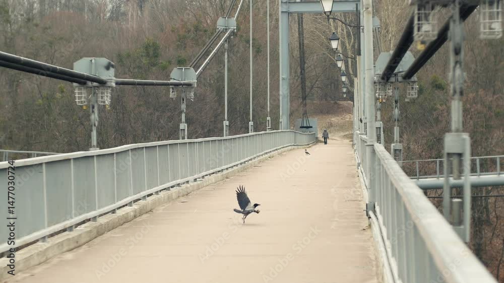 custom made wallpaper toronto digitalHigh suspended steel pedestrian bridge across a river supported by thick metal cables