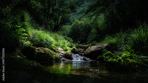 Serene forest stream flowing over rocks amidst lush greenery.