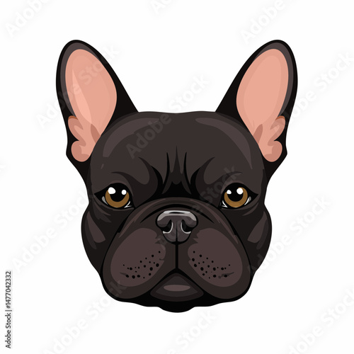 french bulldog portrait