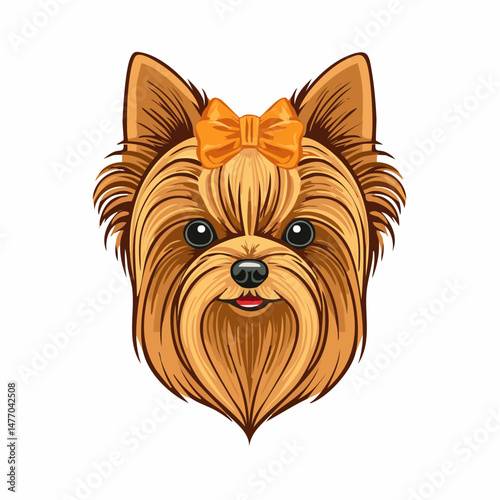 yorkshire terrier puppy