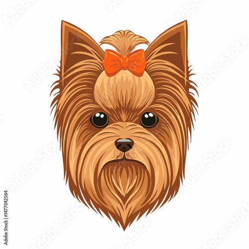 yorkshire terrier puppy , dog