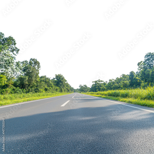 A straight road stretching into the distance, flanked by lush greenery and trees, illustrating a peaceful journey through nature.
