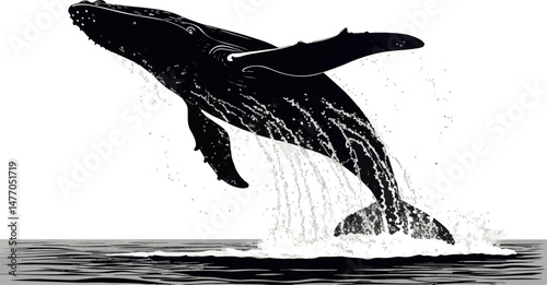 Breaching Humpback Whale Silhouette