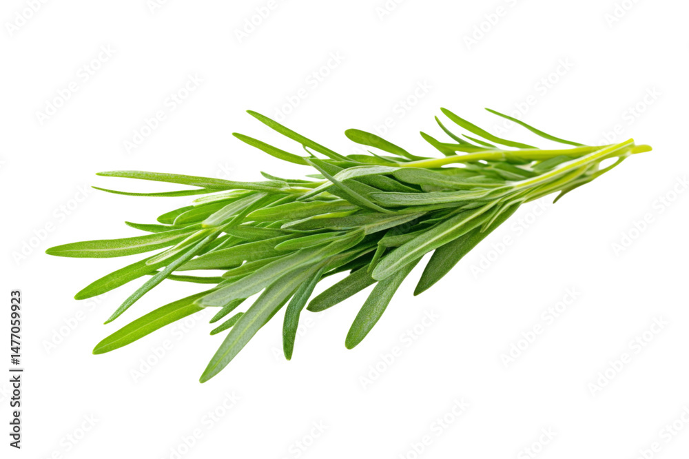 Fototapeta premium Fresh Aromatic Herbs: A Vibrant Culinary Delight . Transparent background PNG