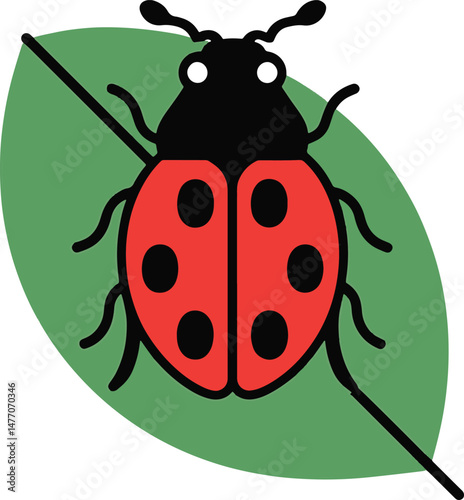 lady bird beetle colorful line art illustration