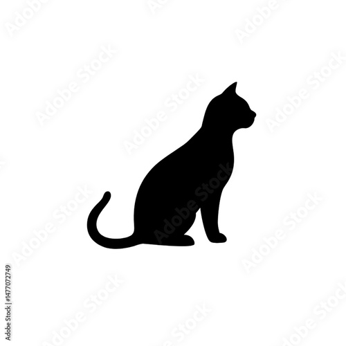 black cat on white background
