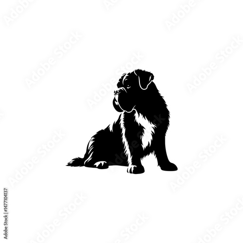 silhouette of a black dog
