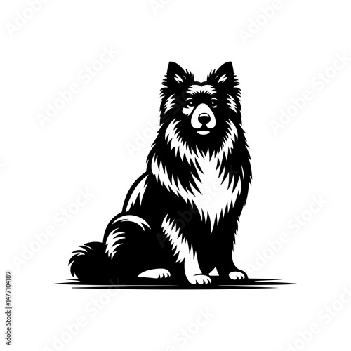vector illustration of a dog white background 