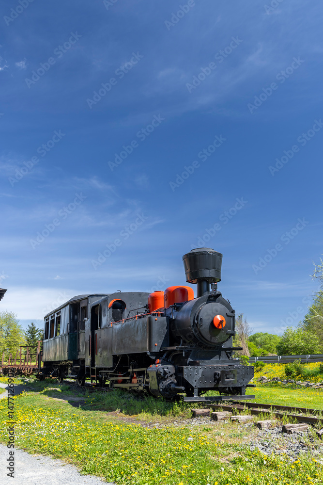 Naklejka premium Black steam train with orange details parked on a sunny day in Slovakia