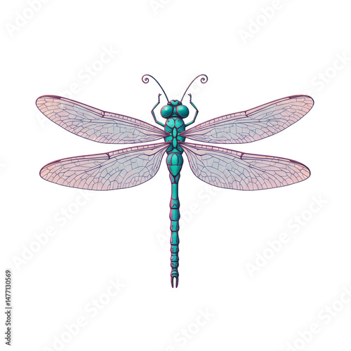 Detailed Dragonfly Illustration with Delicate Wings and Vibrant Coloring