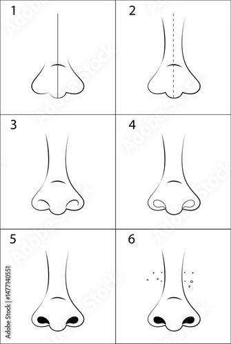 Step-by-step vector instructions. How to draw a cartoon nose. The basics of drawing, the stages of drawing.
