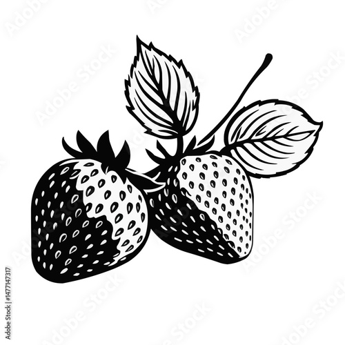 Fresh Strawberries with Leaves Black and White Vector Art