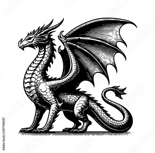 Detailed Black and White Engraving of a Majestic Dragon with Spread Wings and Powerful Stance