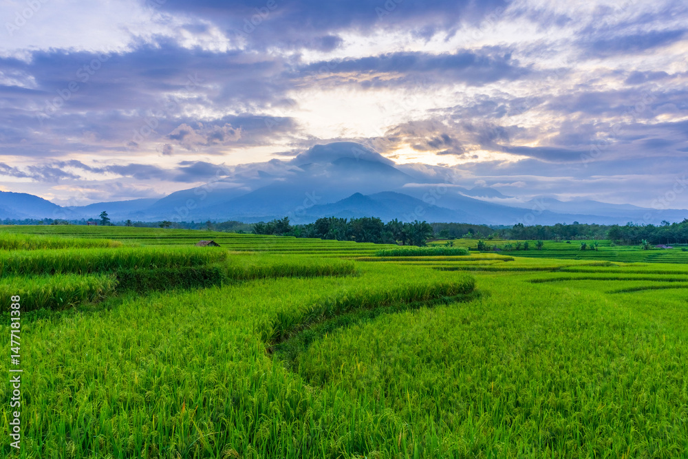 Obraz premium beautiful morning view from Indonesia of mountains and tropical forest