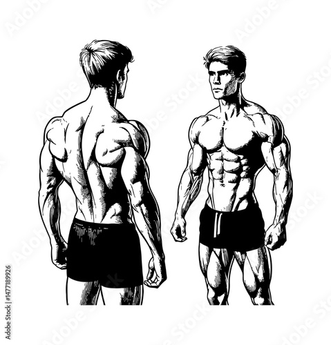 Black and white illustration of a muscular man front and back view