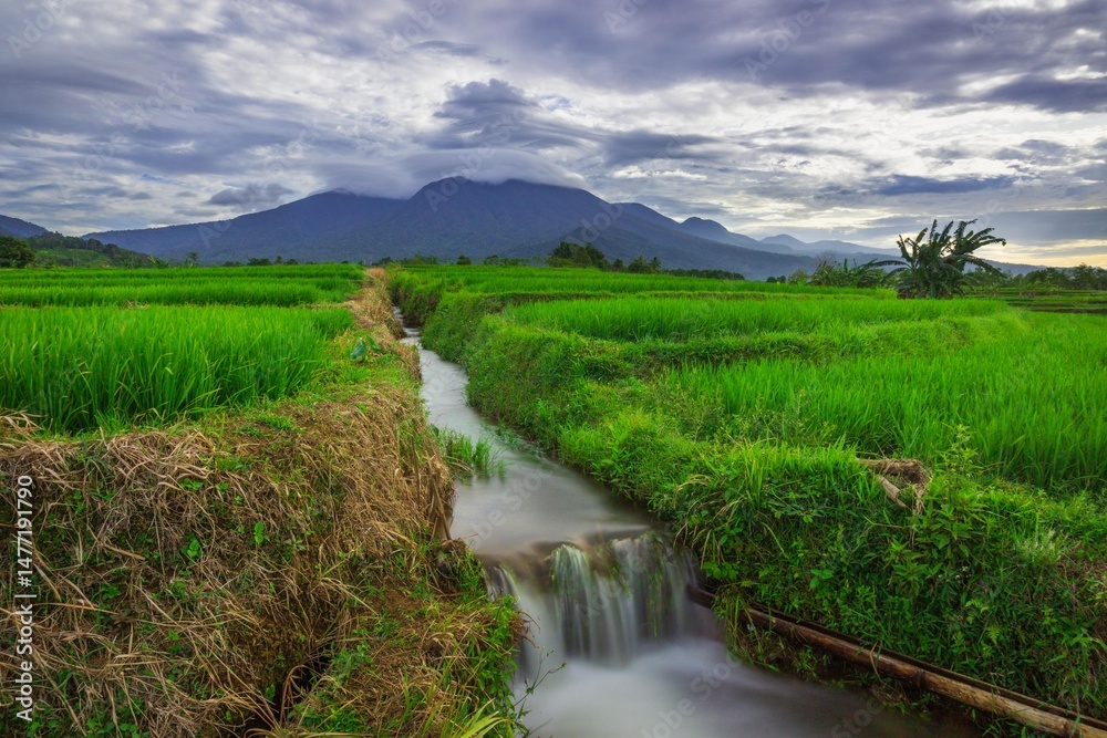 Fototapeta premium beautiful morning view from Indonesia of mountains and tropical forest