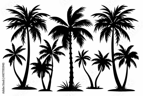 Set of vector silhouettes of coconut tree and palm logo isolated on a white background
