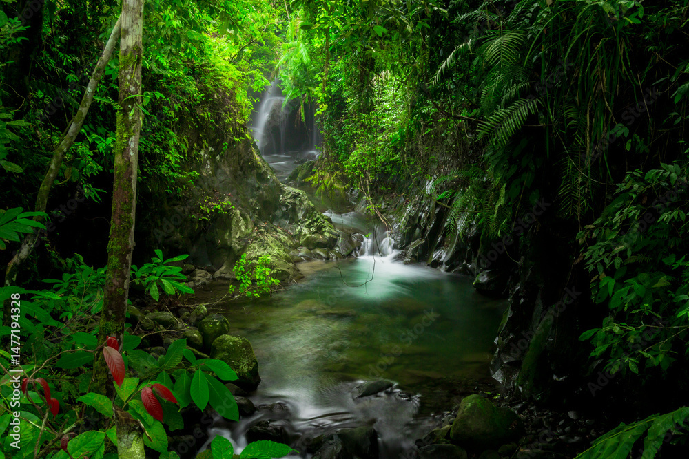 Obraz premium beautiful morning view from Indonesia of mountains and tropical forest