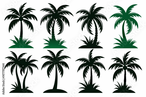 Coconut Tree and Palm Silhouette Logo Design
