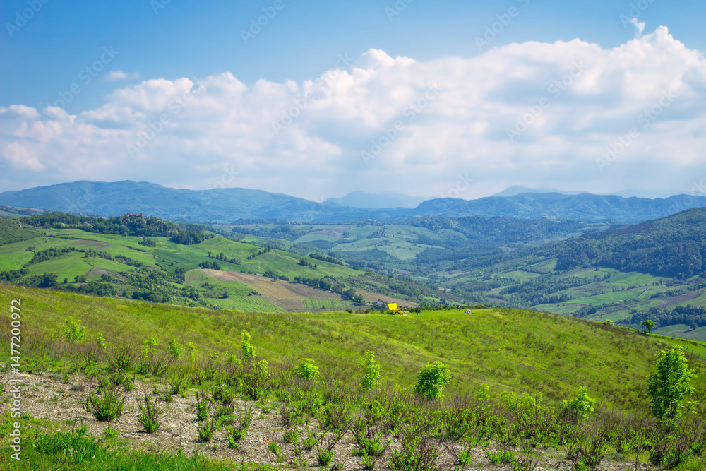 Naklejka premium Springtime panorama of the hills range of Oltrepo Pavese. Is a winery area between Lombardy, Emilia and Piedmont Regions (Northern Italy), mainly in the Pavia Province.