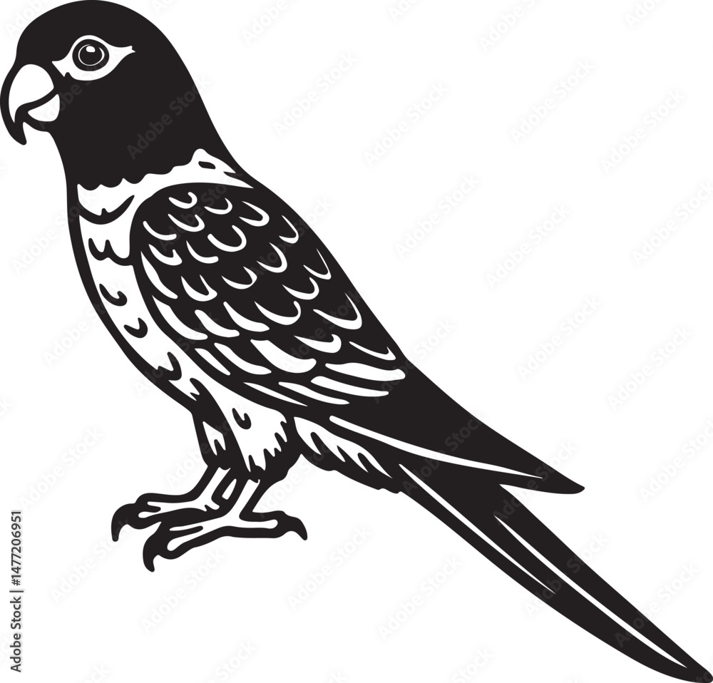 Obraz premium Line drawing of exotic parrot in black and white, suitable for animal lovers, bird collections, and eco-themed illustrations.
