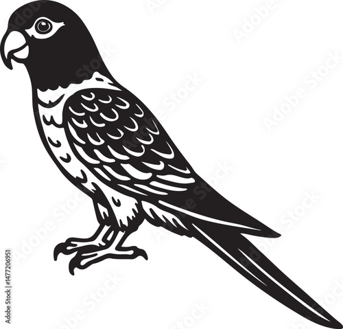 Line drawing of exotic parrot in black and white, suitable for animal lovers, bird collections, and eco-themed illustrations.