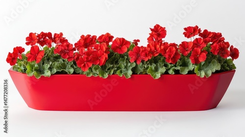 Chic red planter filled with symmetrical red blossoms against a minimalist white background